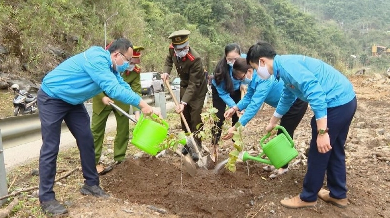 Ngày Quốc tế về Rừng