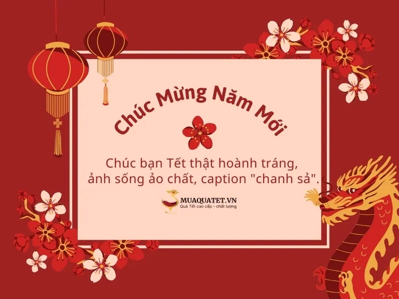 STT Tết hài hước, vui nhộn