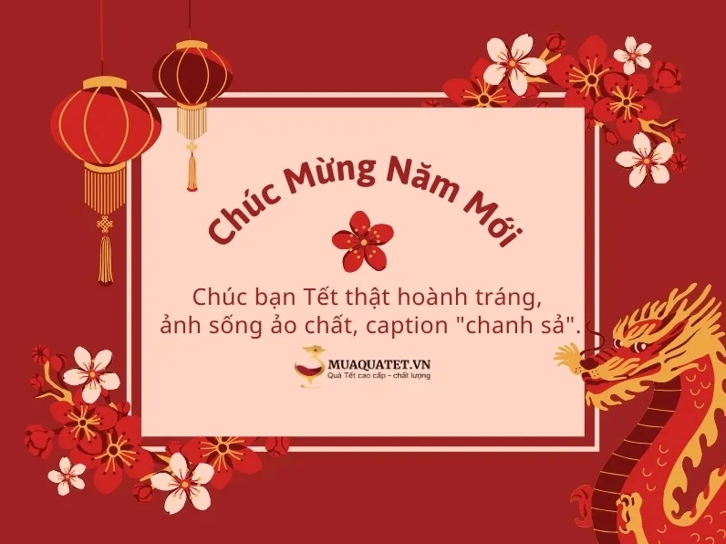 stt tết hài hước