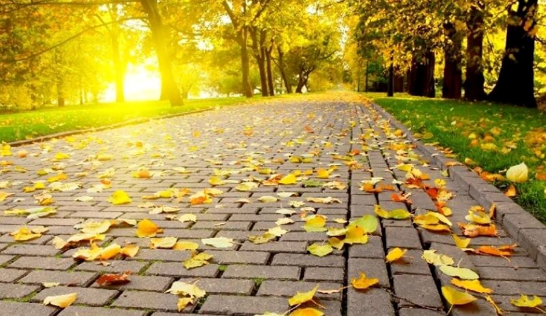 Tìm hiểu mùa thu bắt đầu từ tháng mấy và khám phá vẻ đẹp lãng mạn của mùa thu qua sự thay đổi của thiên nhiên.