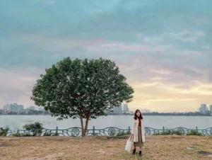 Top 15+ Khu Vui Chơi ở Hà Nội HOT NHẤT 2026: Trải Nghiệm Khó Quên!