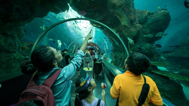 Underwater world