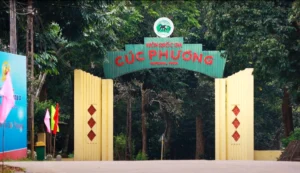 Vườn Quốc Gia Cúc Phương Ở Đâu? Cẩm Nang Khám Phá Rừng Nguyên Sinh 2026