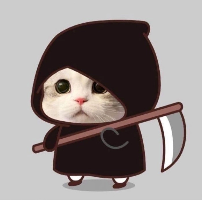 Avatar mèo con dễ thương