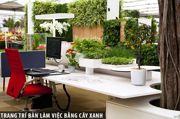 Background bàn làm việc