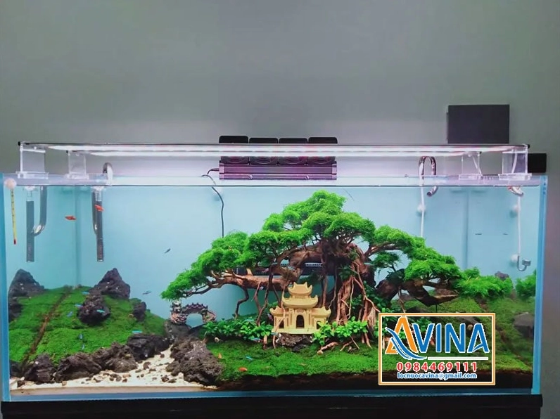 Bể cá thủy sinh trang trí theo layout bonsai