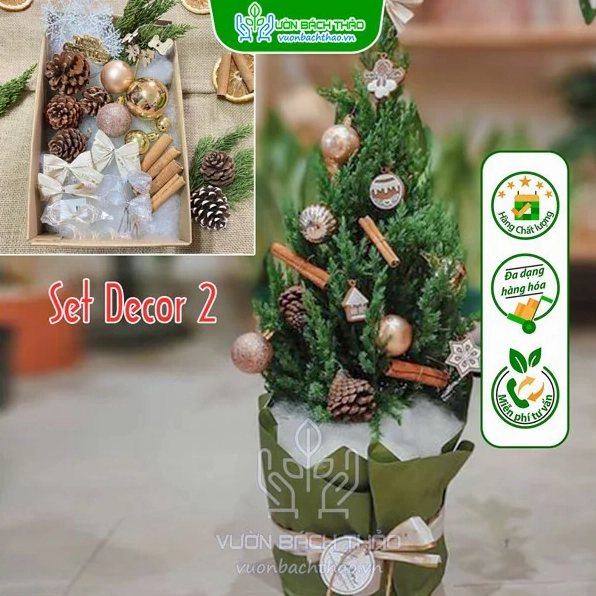 Bộ phụ kiện trang trí Noel
