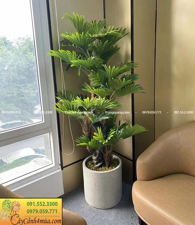 Cây cỏ giả trang trí nhà