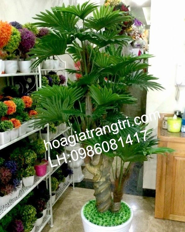 Cây cỏ giả trang trí