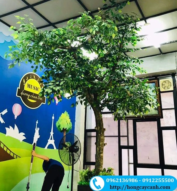 Cây giả trang trí văn phòng