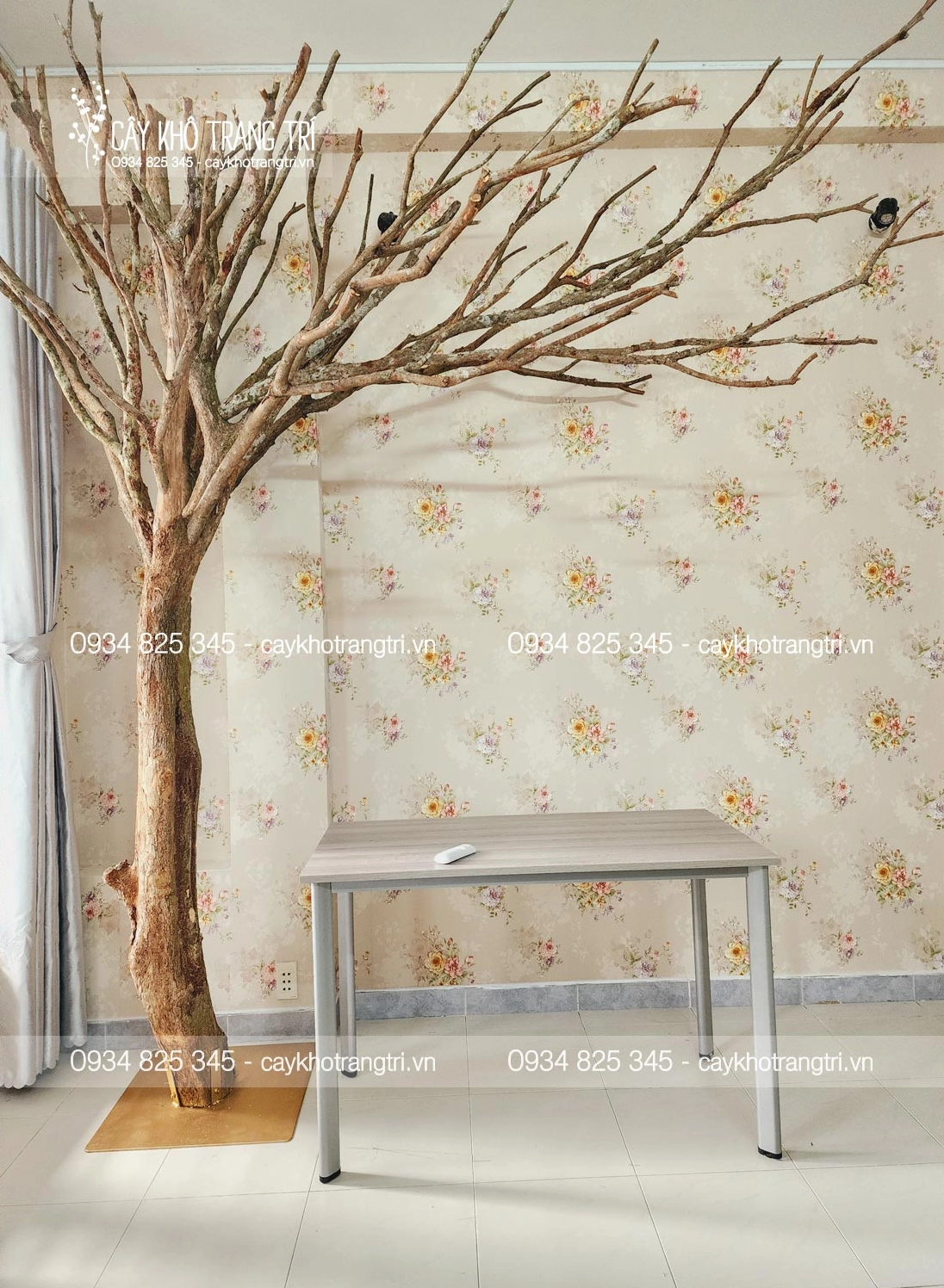 Cây khô trang trí Tết
