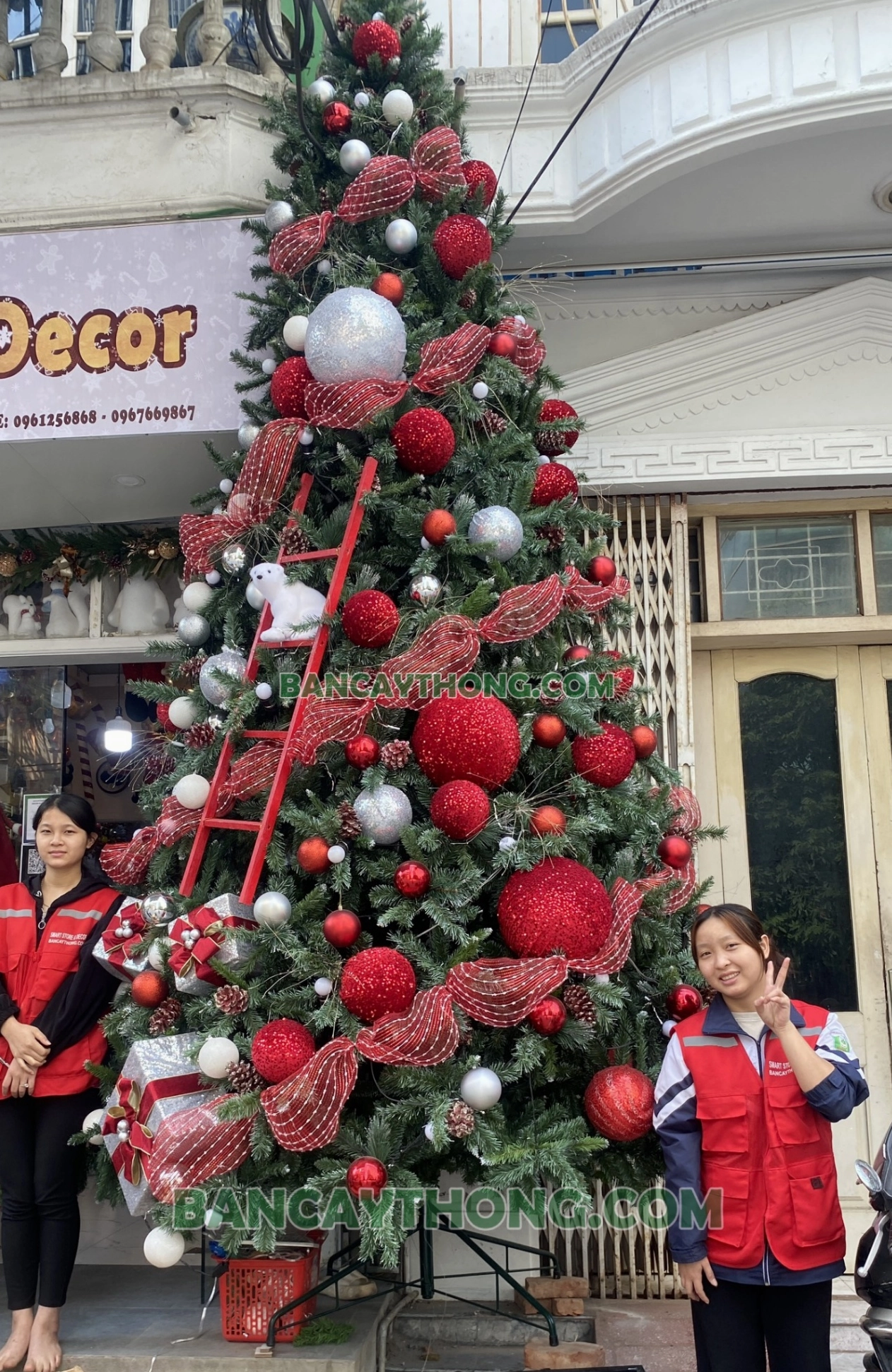 Cây thông Noel phiên bản 2026