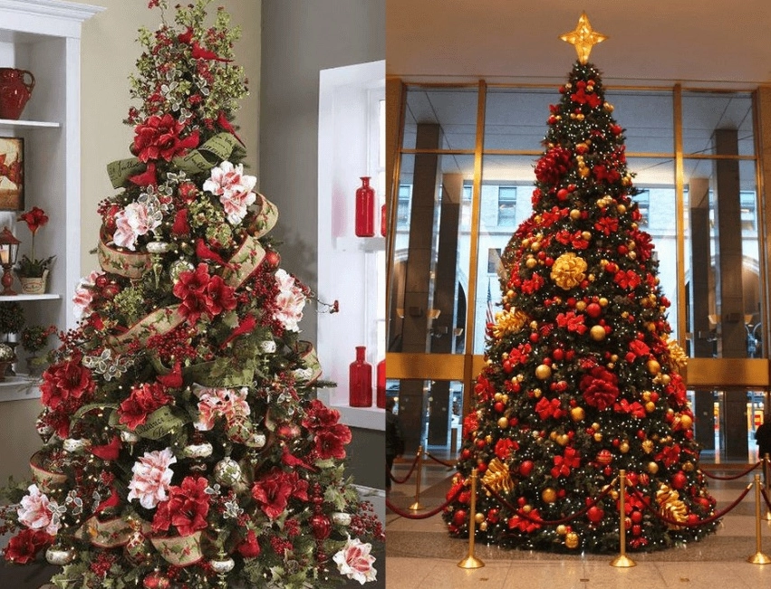 Cây thông Noel rực rỡ