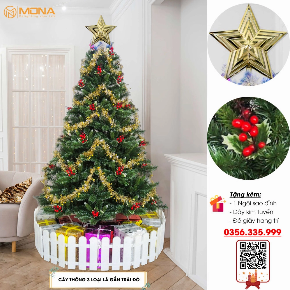 Cây thông Noel với trái thông