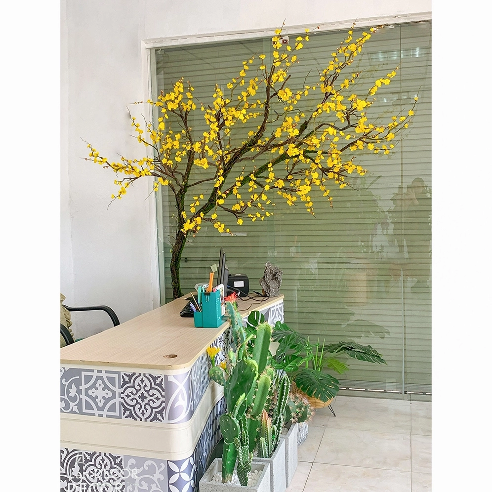 Chậu cây mai giả trang trí