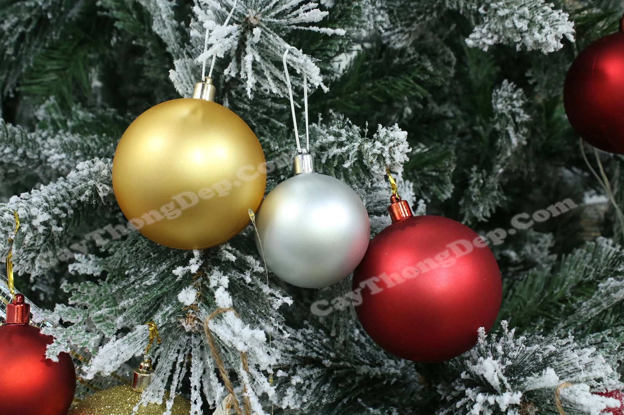 Chậu hoa trang trí Noel