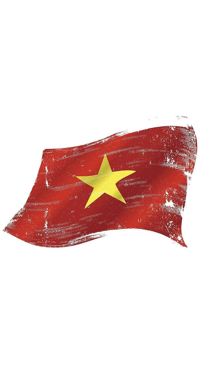 Cờ Việt Nam trên bàn tay