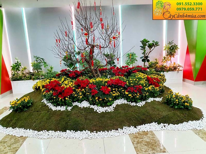 Dịch vụ trang trí tiểu cảnh Tết