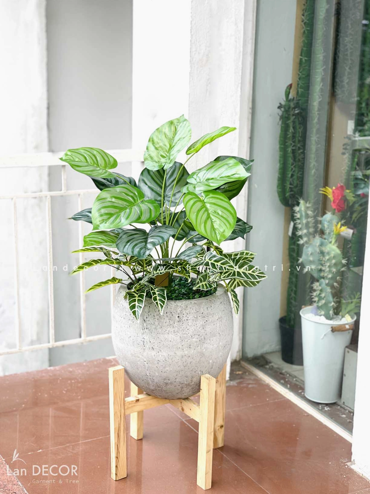 Góc xanh thư giãn với nhiều chậu cây