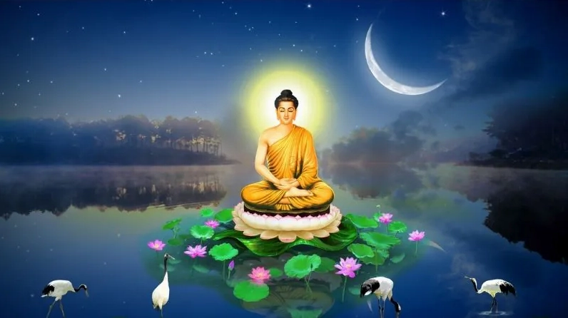 Hình nền đẹp cho điện thoại