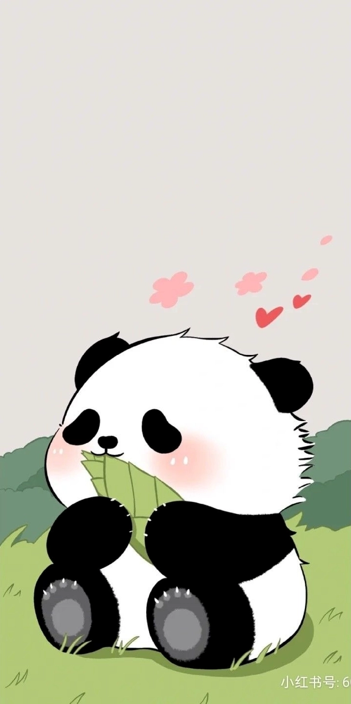 Hình nền gấu teddy ngủ