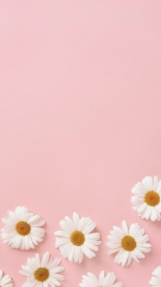 Hình nền hồng gradient ấn tượng