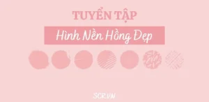 Hình Nền Hồng: Tuyển Tập Độc Đáo, Dễ Thương & Sang Chảnh 2026