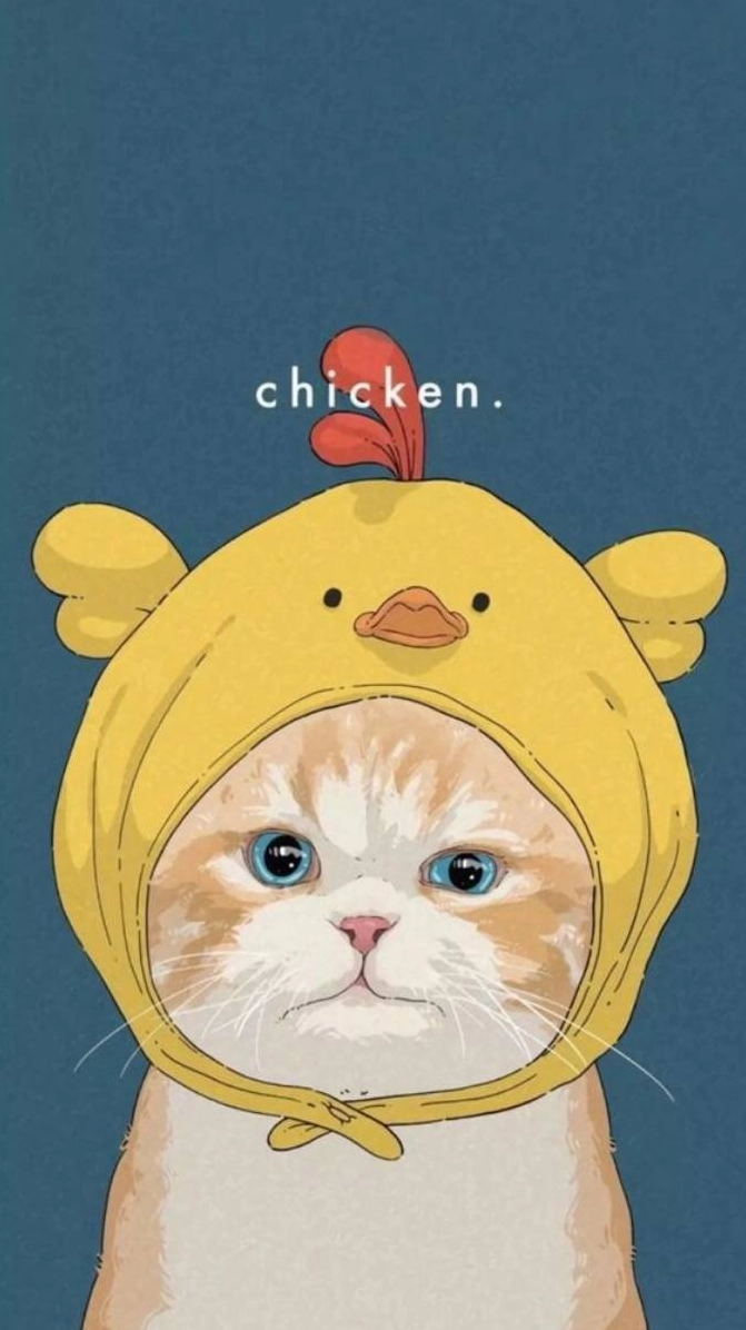 Hình nền mèo con đáng yêu