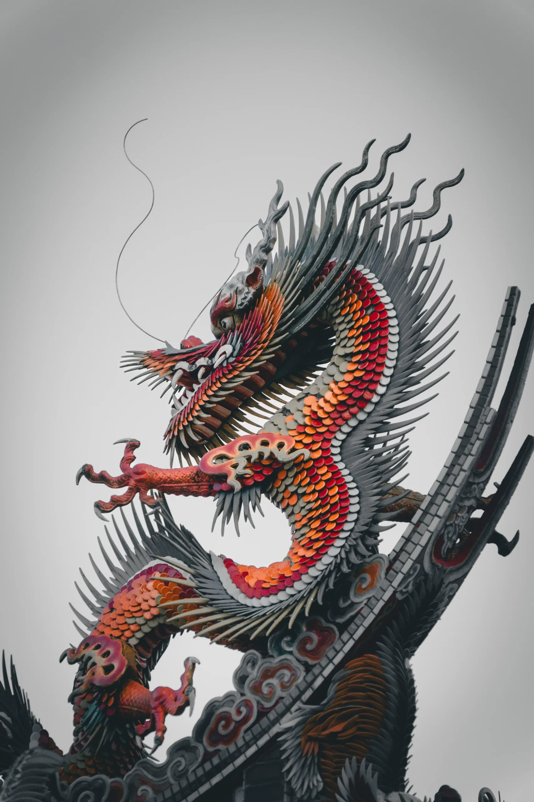 Hình nền rồng trừu tượng