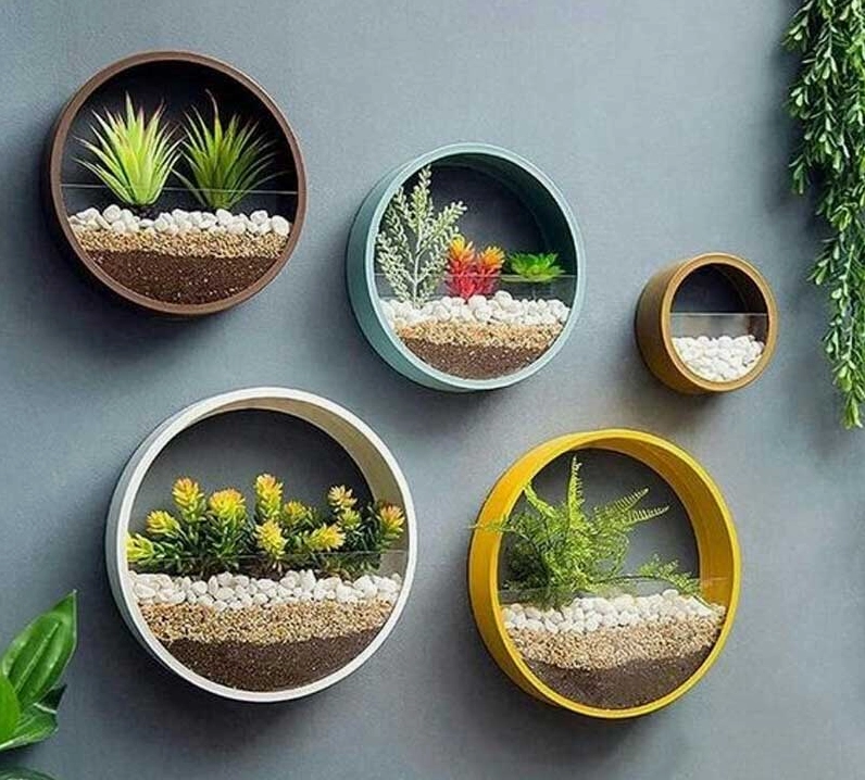 Hình tròn trang trí tường
