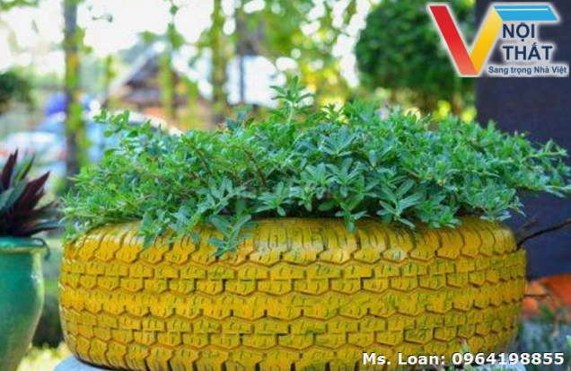 Khu vườn nhỏ với lốp xe trang trí