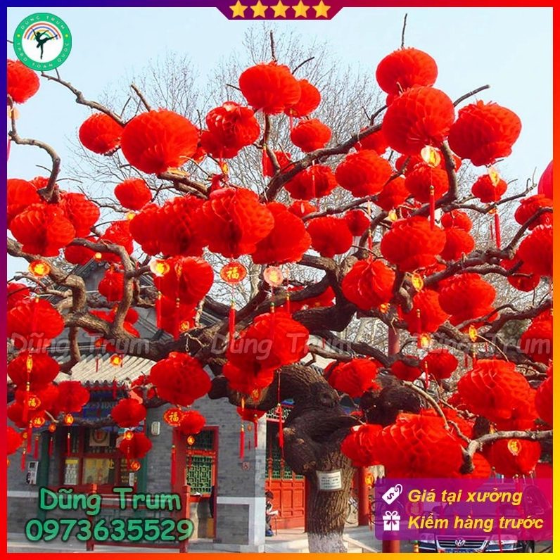 Khung lồng đèn trang trí