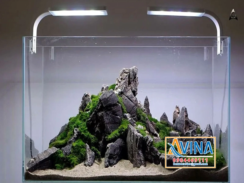 Layout đá trang trí hồ cá