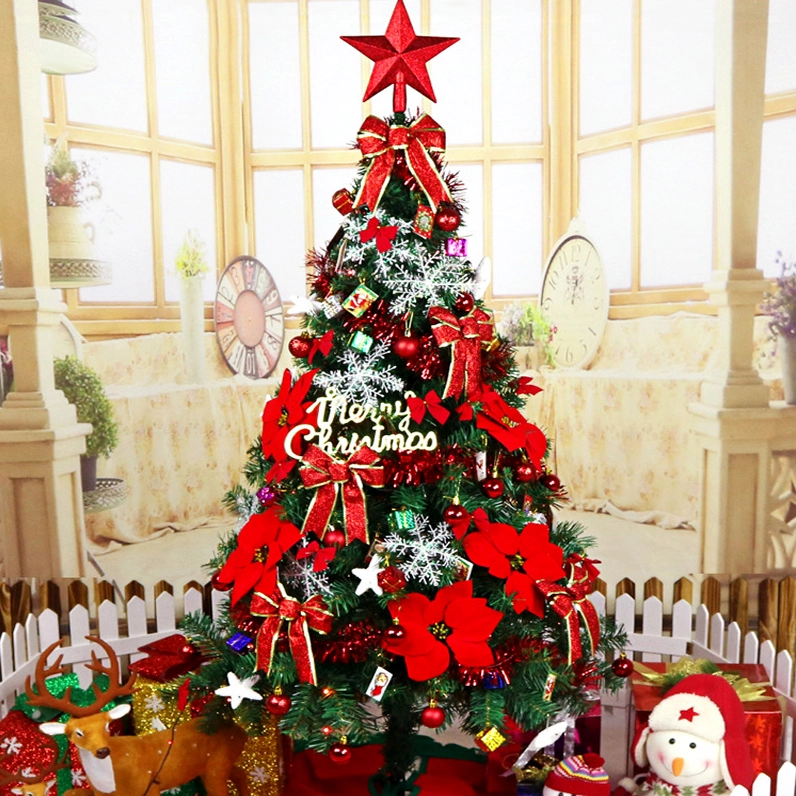 Quấn dây đèn cho cây thông Noel