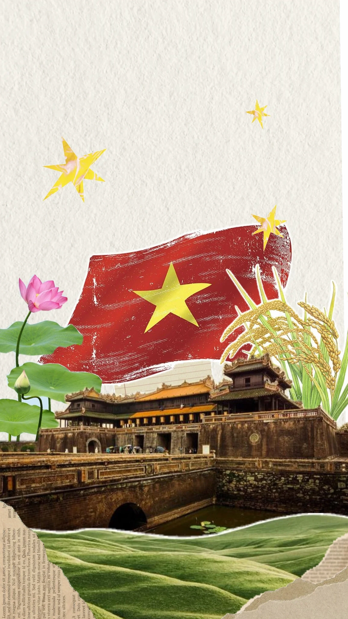 Quốc kỳ Việt Nam trên nền trắng