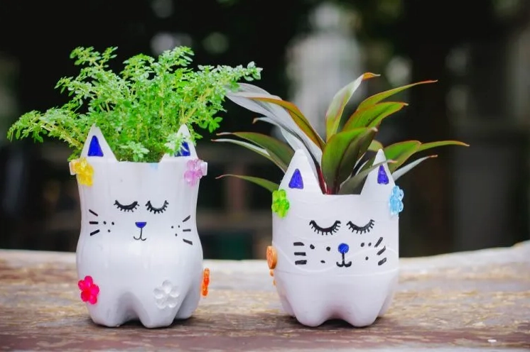Tái chế chai nhựa để trang trí không gian sống