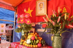 Trang Trí Bên Trong Trại Đẹp Nhất: Ý Tưởng 2026