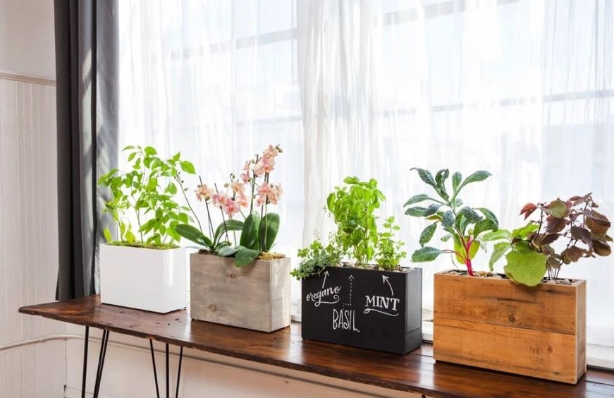 Trang trí cửa sổ đơn giản mà đẹp
