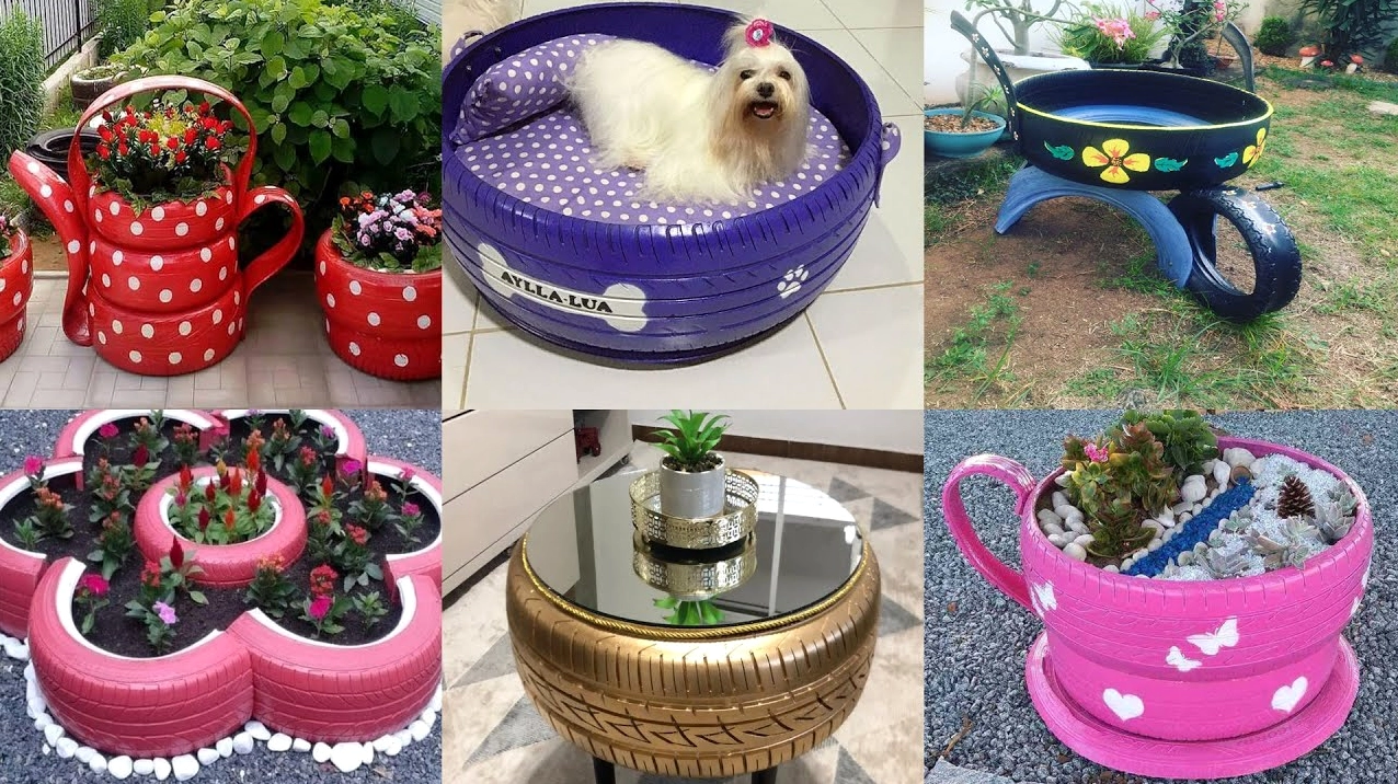 Vườn hoa sen đá trong lốp xe